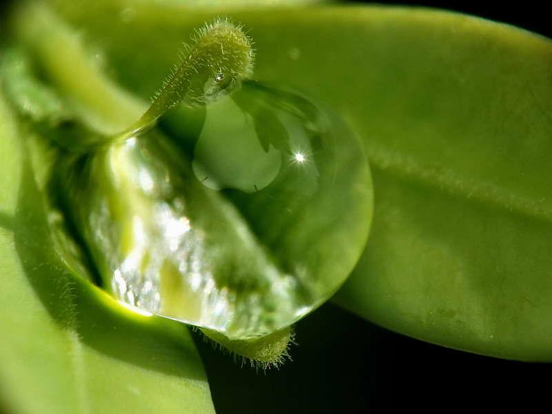 gouttes de pluie-09.jpg